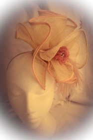 Fascinators